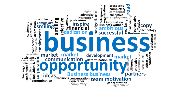 business-opportunity-slide9
